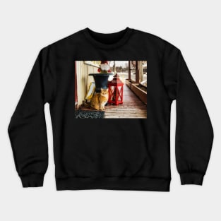 Country Cat Puzzle Crewneck Sweatshirt